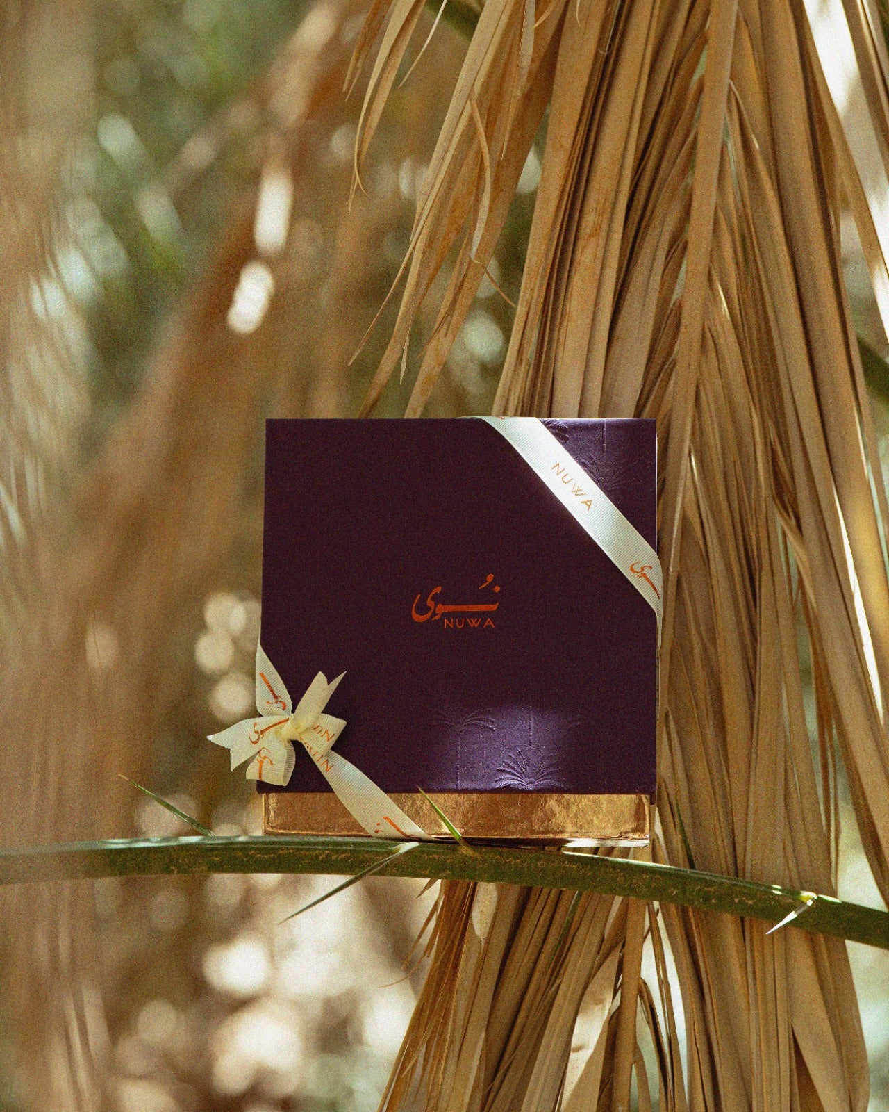 Classic Dubai Stuffed Dates (Kunafa)